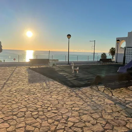 Paradise * Мохакар