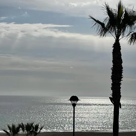 Paradise * מוחקאר