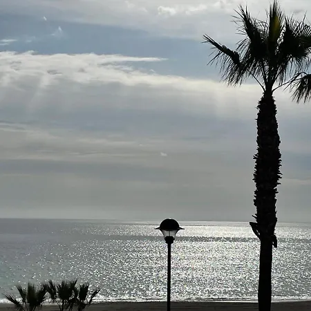 Paradise * Мохакар